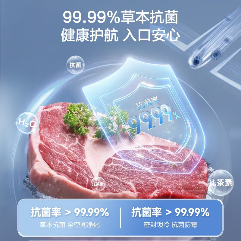 容声（Ronshen）300升低霜大容量冰柜家用商用冷藏冷冻转换冷柜 一级能效 雪糕冰柜 厨房卧式冰箱BD/BC-300ZMSM
