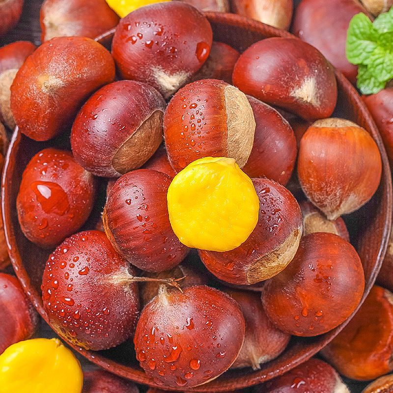 禄奉飨礼云南新鲜生板栗栗子当季现摘油栗去刺壳粉糯板栗蔬菜 新鲜生
