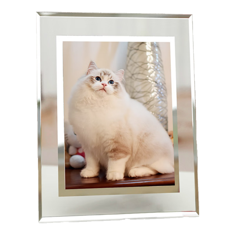 quatrefoil �������8������ɰڻ�����Ƭ��̨ 23.31Ԫ(������)