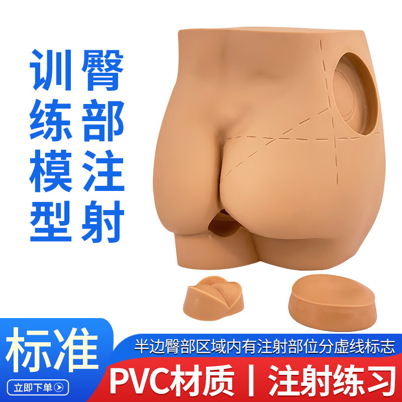 蓝蝶品牌 高级臀部肌肉注射与解剖结构模型 肌肉注射方法训练臀部肌肉