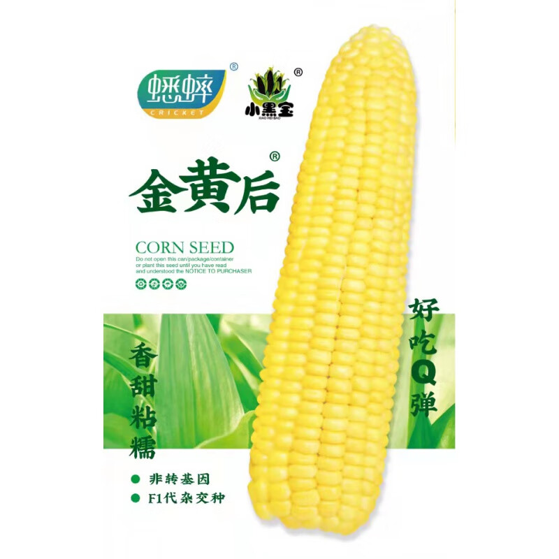 甜传统老品种籽玉米四季春季夏种孑 金皇后玉米种子20g原装(小包试用