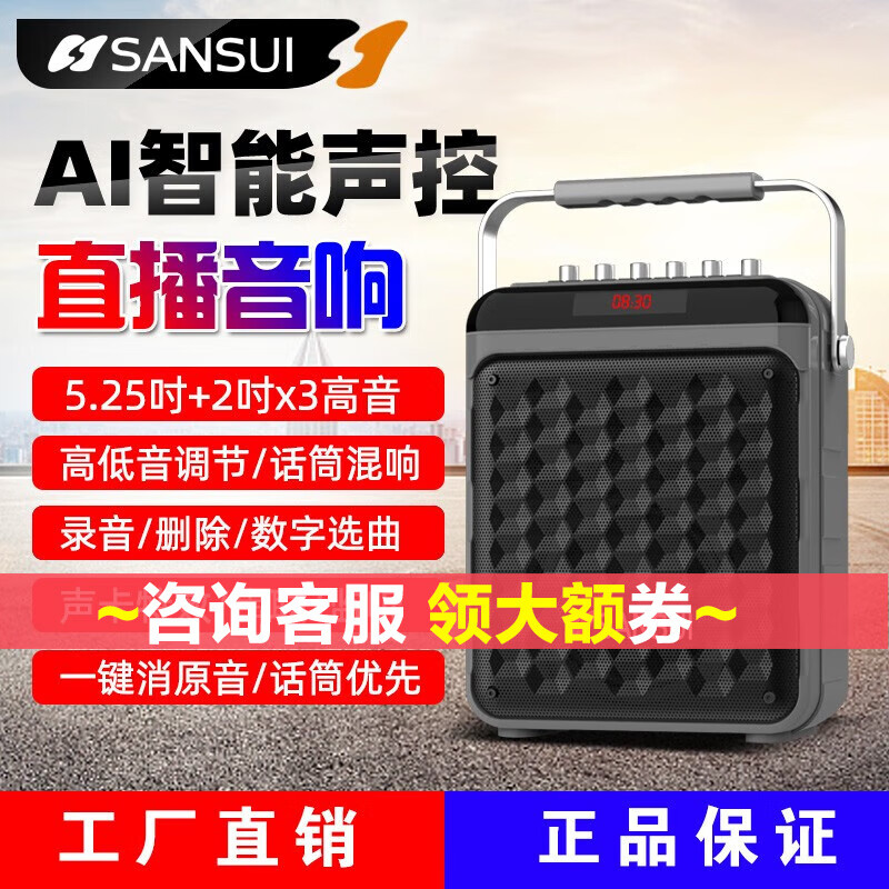 山水（SANSUI）E21 便携式手提大功率大音量户外音响KTV广场舞音响蓝牙音箱低音炮K歌直播声卡插卡音乐播放器 E21智能声控+双充电话筒