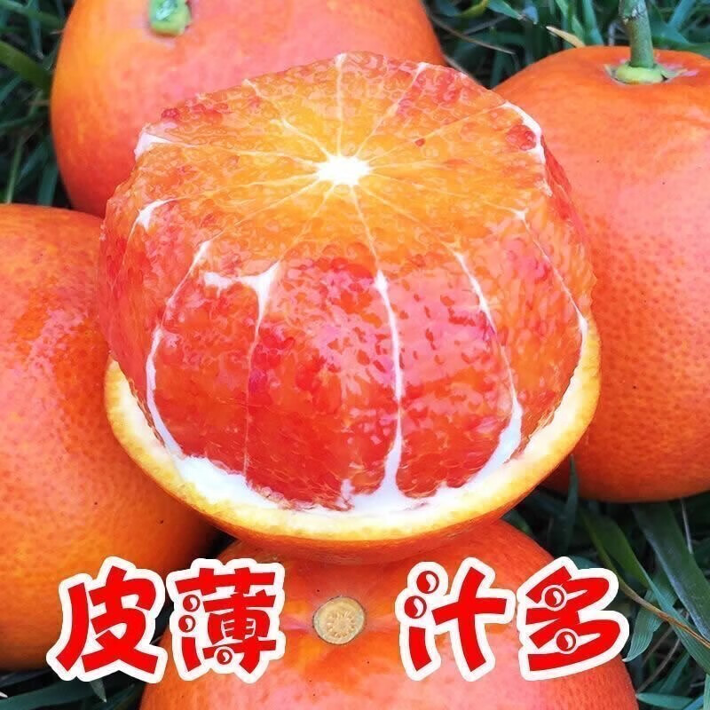 果迎鲜橙子 新鲜水果 血橙 湖南麻阳塔罗科 红血橙 酸甜 5斤65-70mm