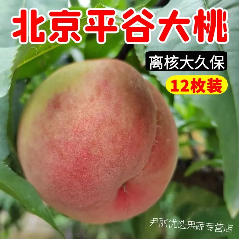 正宗平谷大桃久保桃离核桃子硬脆桃新鲜水果现摘北京14号桃鲜毛桃 (12