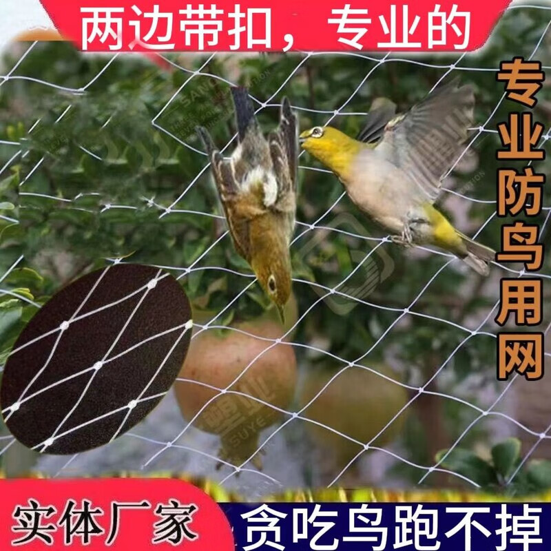 康鸿麻雀捕捉自动网果园大棚防鸟网 防护网 跑不掉网农田防鸟樱桃梨树
