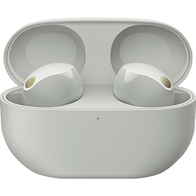 索尼（SONY）WF-1000XM5 蓝牙耳机真无线降噪耳机 运动入耳式 新款降噪豆5 1000XM4升级款 蓝牙5.3 铂金银 国行