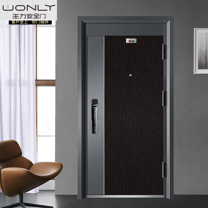 王力甲级防盗门门入户门双开关大门子母门家用智能指纹锁进户 豪华