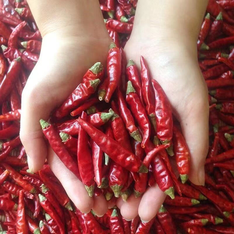 贵州干辣椒特辣满天星辣椒段无籽特香辣椒面超辣500g-2500g 贵州特辣