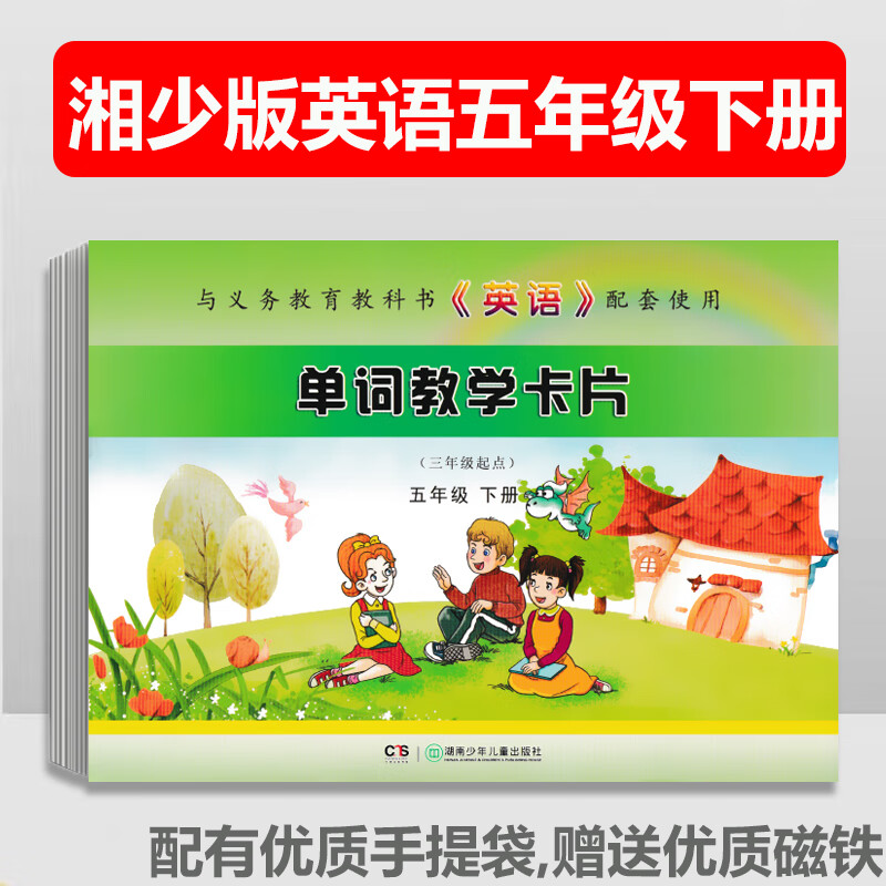2024湘少版小学英语单词教学卡片五年级下册教师教学用单词短语卡片5