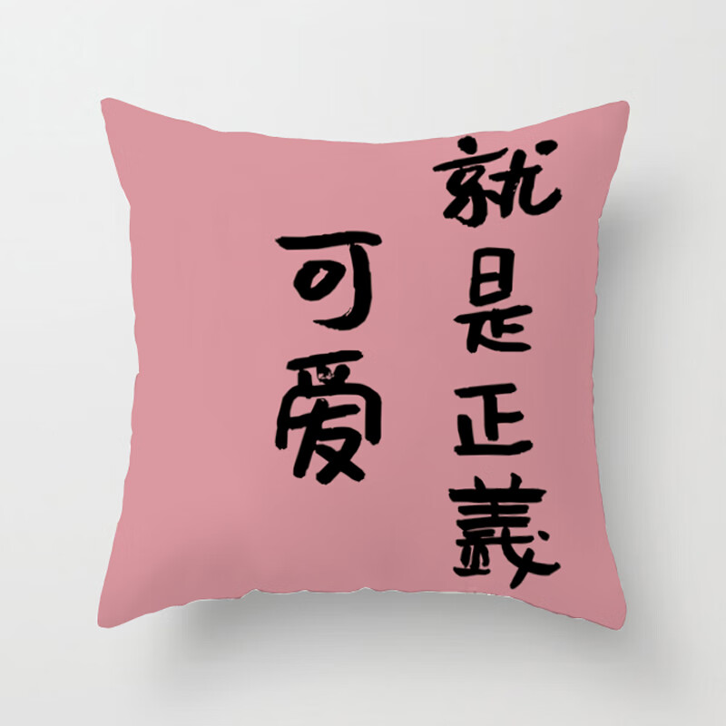 抱枕网红ins抱枕励志文字创意靠垫办公室椅子靠背北欧简 可爱就是正义