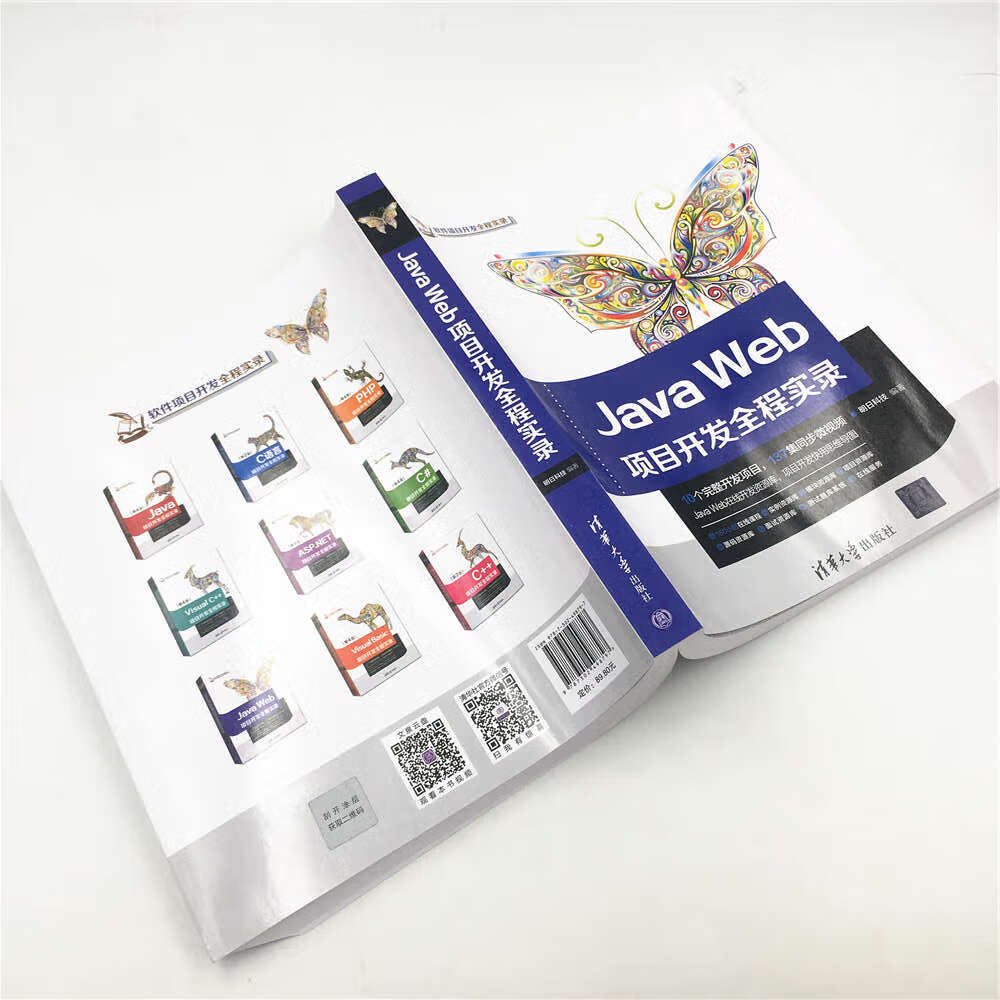 Java Web项目开发全程实录（软件项目开发全程实录）