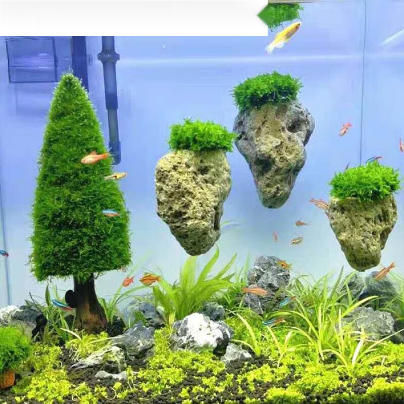 乐优派浮石鱼缸造景装饰摆件石头莫斯水草植物悬浮石水族布景轻石