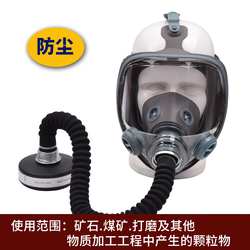 防毒面具防护面罩化工气体喷漆防农药实验室双箭龙隔离农药面罩 700面具+导气管+8020防尘盒   防工业粉尘
