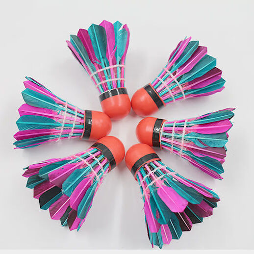 风羽毛球比赛级彩色家庭用球训练羽毛球5只装比赛 5只装(颜色随机) 1