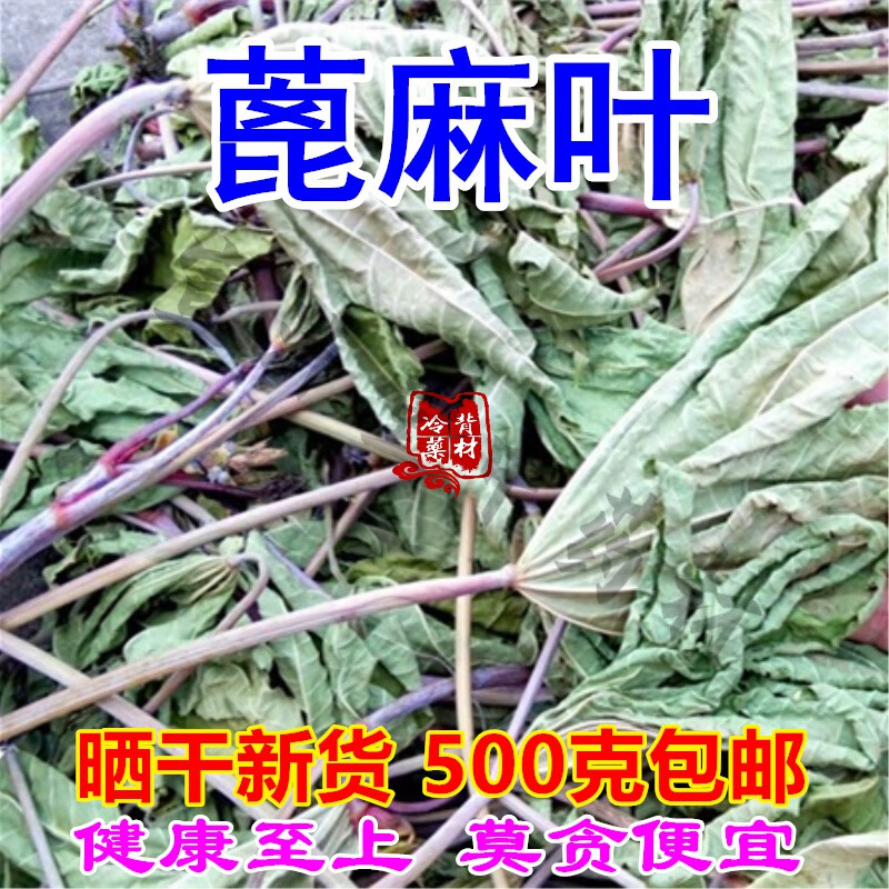 吾家余堂中药材红蓖麻叶500g干蓖麻子叶大麻子草麻树叶 红杆蓖麻叶子 500克