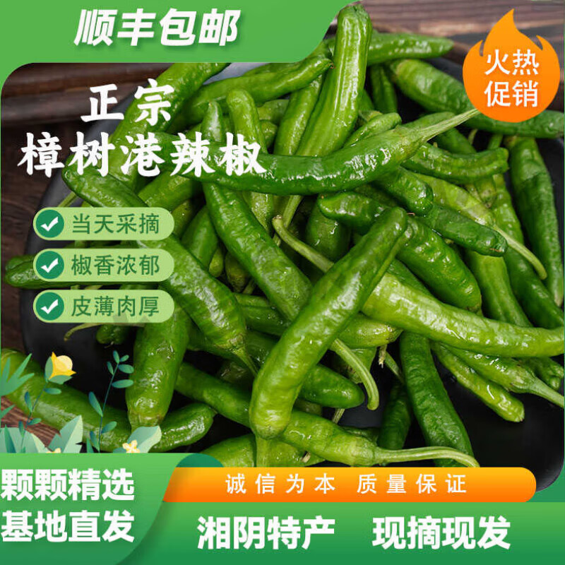 樱鲜【顺丰直达】湖南樟树港辣椒湘阴特产蔬菜美食新鲜产精选 1斤