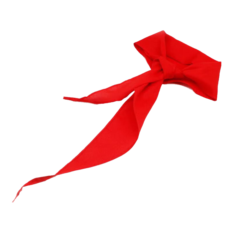 亞眾 紅領(lǐng)巾小學生純棉通用兒童標準棉不掉色透氣1米、1.2米抗皺棉布綢緞紅領(lǐng)巾 棉布 通用款1.2米(適合3-6年級)  1條裝