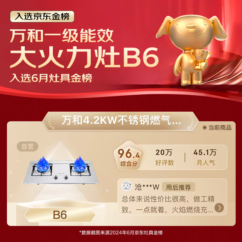 万和（Vanward）4.2KW大火力 家用台式嵌入式燃气灶具 双眼灶 不锈钢 B6-B338XW（天然气）