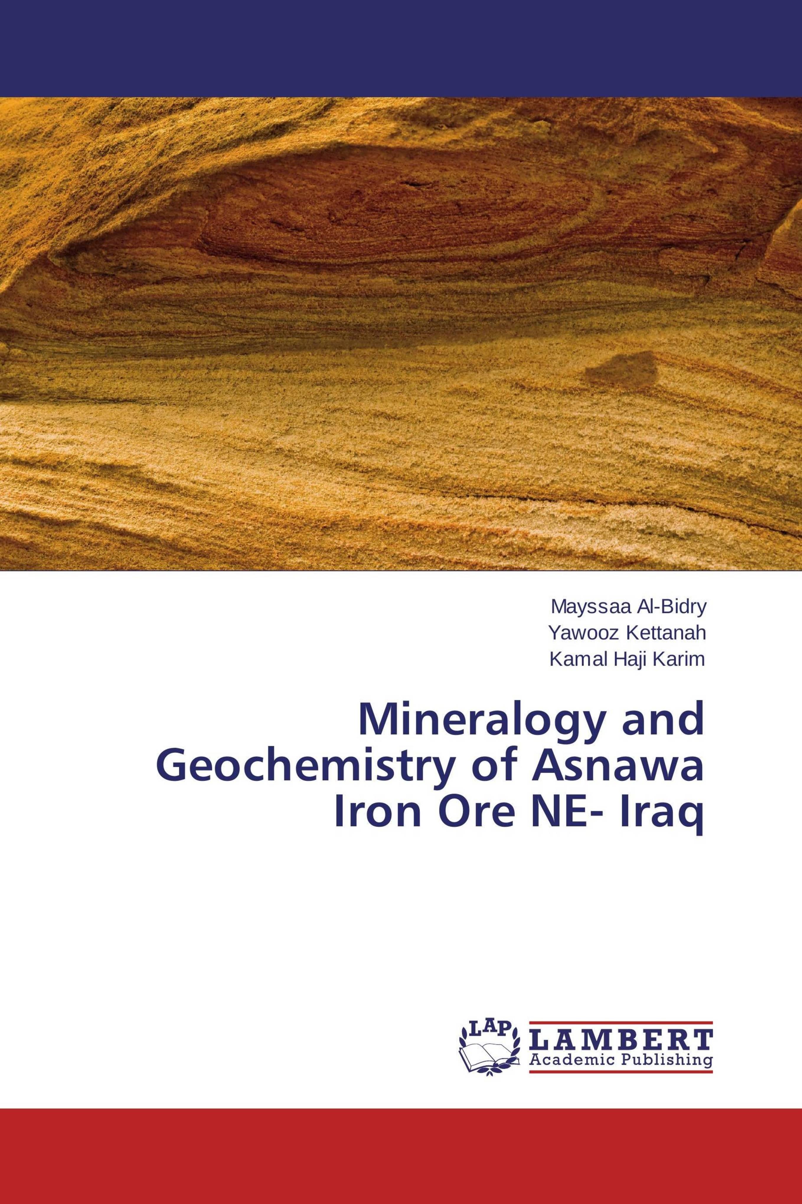 预订 学位论文mineralogy and geochemistry of asnawa iron ore ne