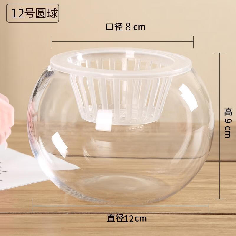 玻璃花盆花瓶圆球形状养花养鱼大小号透明玻璃瓶容器器皿桌面 【球径12】圆球瓶+定植篮