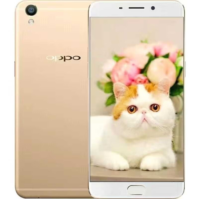 oppooppo r9s plus 6 64g内存国行二手手机安卓双卡双待智能机7系统