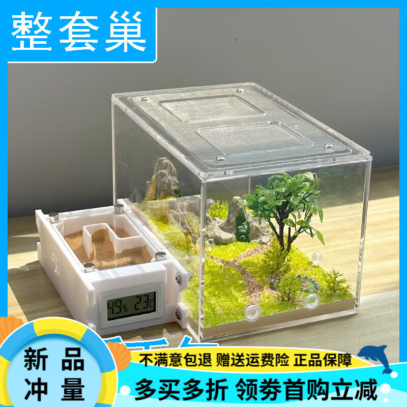 OIMG蚂蚁工坊宠物蚂蚁城堡 蚂蚁生态箱 蚂蚁窝生态平面蚁巢活动区教学 中号【绿洲巢】+新手包