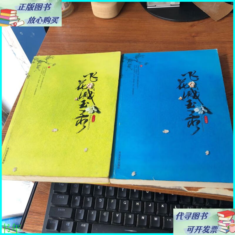 飞花溅玉录(全两册) 大众文艺出版社二手书