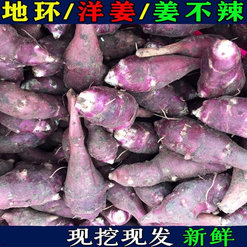 京营东北新鲜洋姜不辣地环菊芋腌制咸菜籽凉拌酱菜食用紫皮红皮 2斤