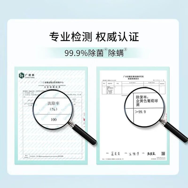 立白小白白羽绒服洗衣液花果香留香家用羽绒洗衣去渍除菌除螨柔软 性价比250g*2瓶+洗衣液300g