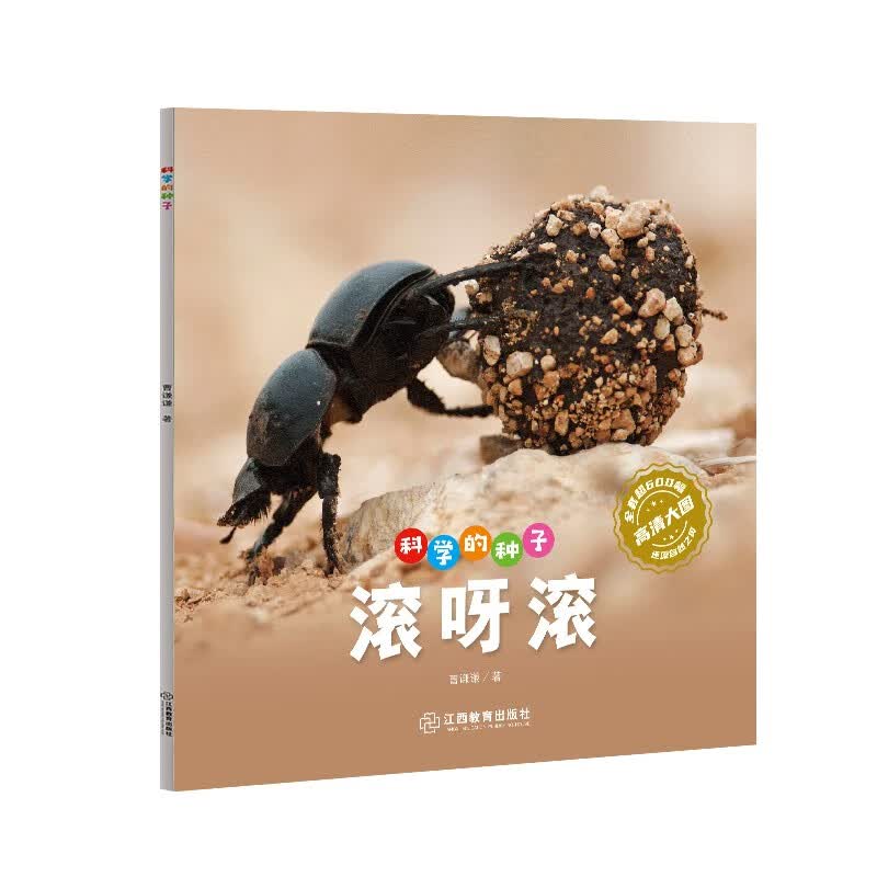 科学的种子：滚呀滚3-8岁儿童百科认识科学概念 养成科学思维 激发科学探索欲 