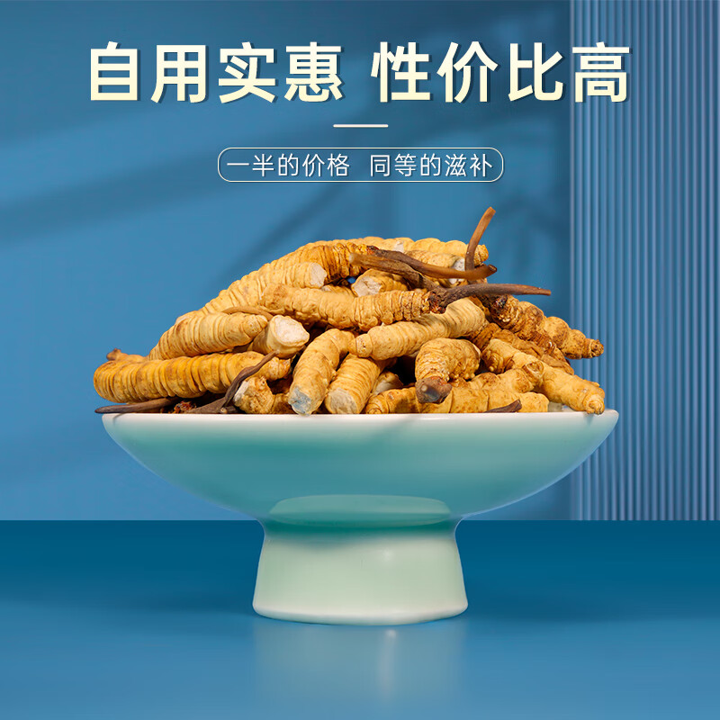 藏汐堂冬虫夏草 高海拔新干断草  送长辈礼物 实惠滋补营养品 大号断草 10g*1盒 【送养生杯】
