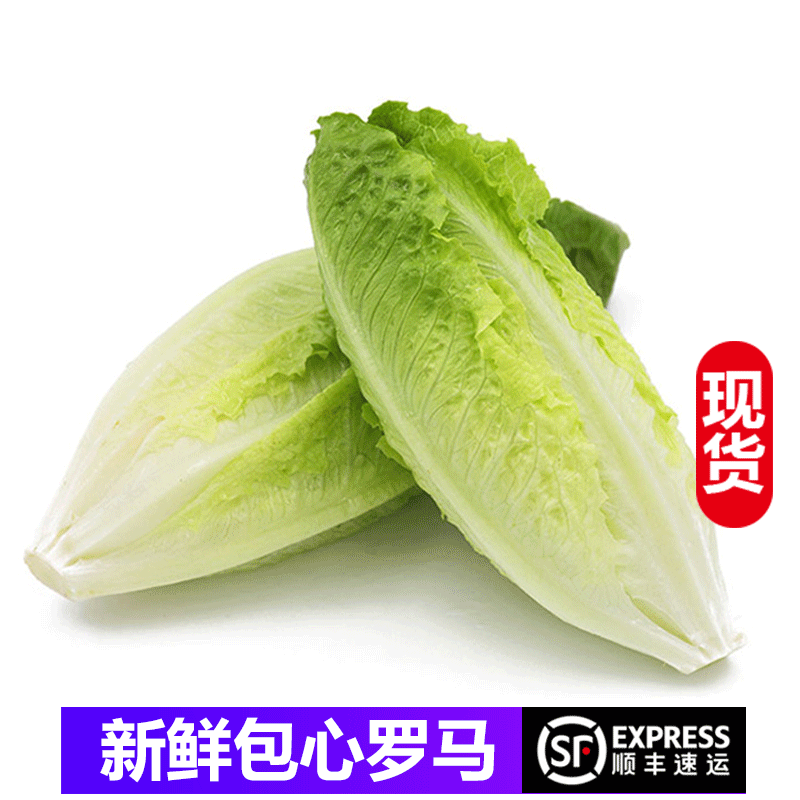 包心罗马生菜 包心罗纹沙拉菜西餐配菜 新鲜蔬菜 500g
