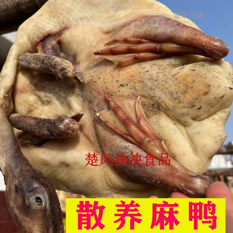 散養(yǎng)麻鴨風(fēng)干咸香土鴨農(nóng)家腌制臘鴨草鴨放養(yǎng)老鴨子咸臘鴨肉安徽 1只(3.3斤左右)