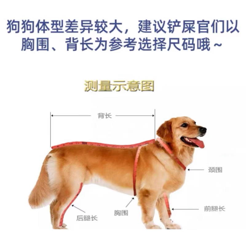 狗狗绝育手术服公母狗术后柯基金毛皮肤病伤口防舔宠物服 请务必测量