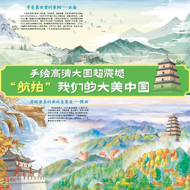 茶，一片树叶里的中国（全4册）传统文化幼小衔接寒假书单暑假书单启蒙科普自主阅读科普绘本亲子阅读 3-5岁小猛犸童书详情图