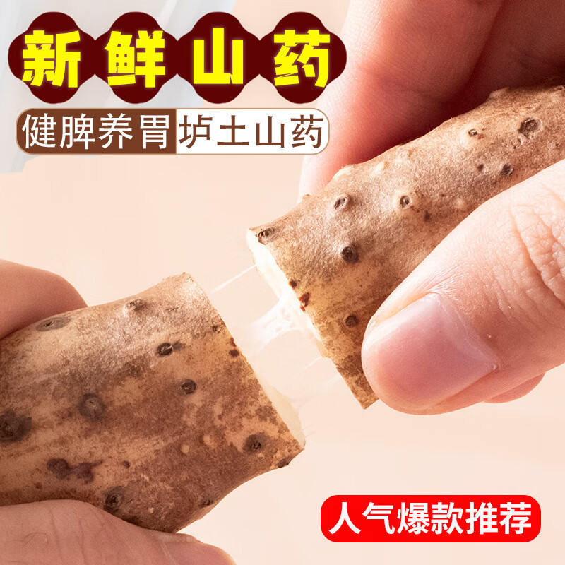 京蚨鲜温县垆土铁棍山药淮山药铁杆山药新鲜现挖蔬菜生鲜 净重5斤甄选【50-60mm】