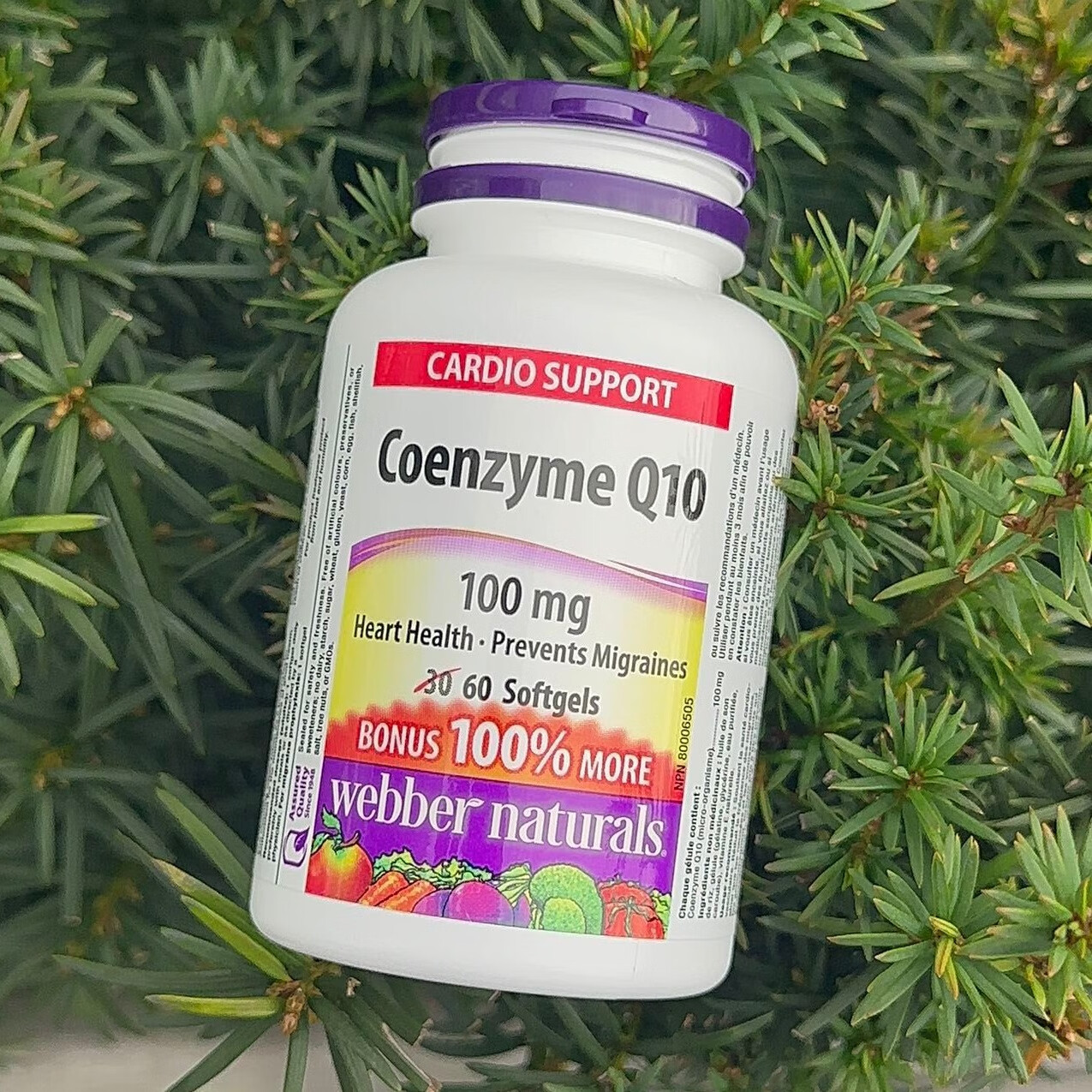 27年到期保税发加拿大伟博webber naturals辅酶q10 胶囊60粒