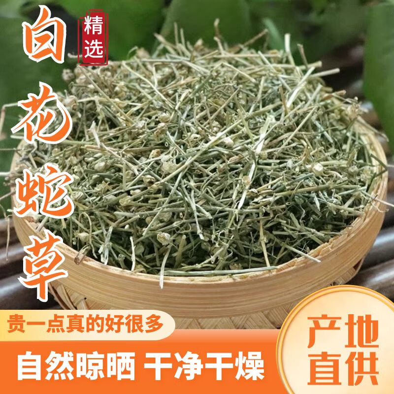 精选干货百花蛇舌草新货白花蛇草茶搭配半枝莲铁树叶 白花蛇舌草500克