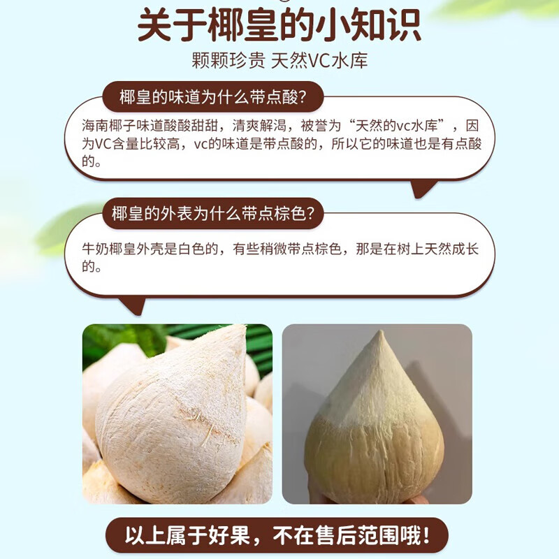 鲜友季海南牛奶椰皇椰白新鲜椰子椰汁水果孕妇补羊水水果配吸管 8枚中果（单果1斤-1.5斤）
