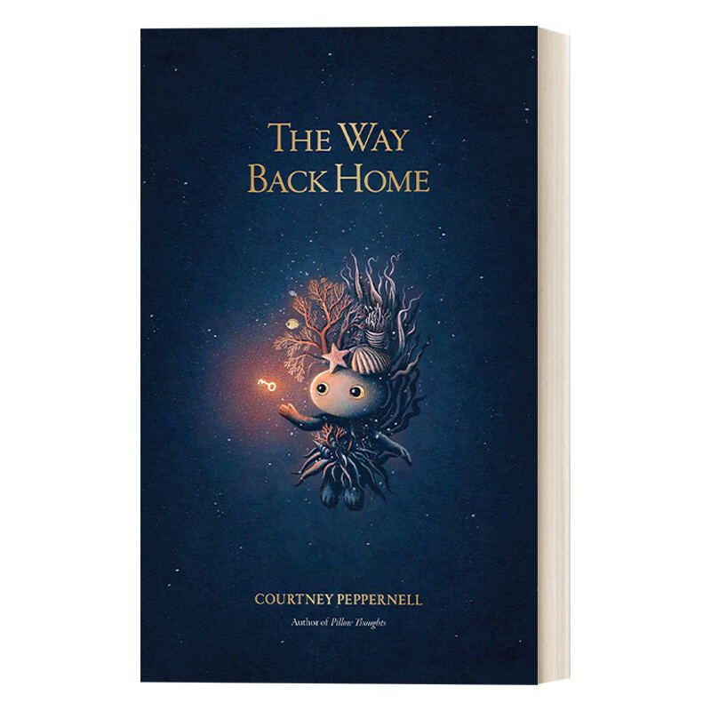 进口原版 the way back home 从月亮上回家 英文版 英语原版书籍