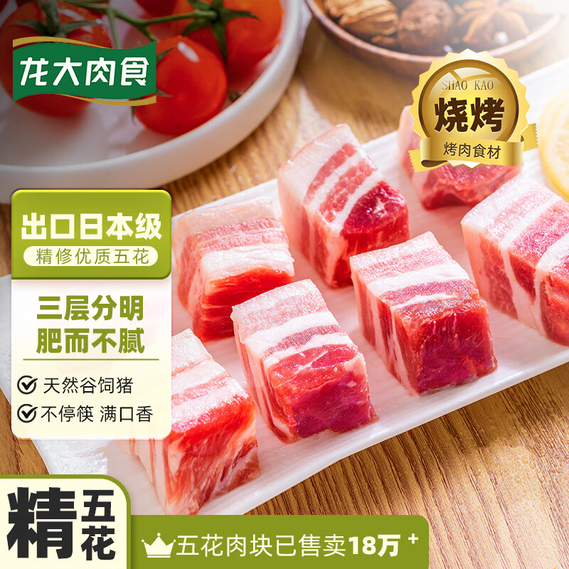 龙大肉食 猪五花肉块500g 冷冻带皮五花酱卤肉烧烤出口日本级 烤肠食材 