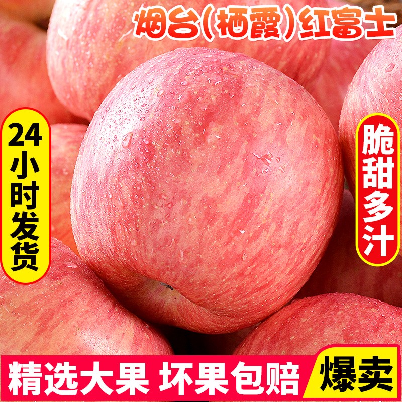 正宗当季烟台红富士苹果栖霞红富士苹果脆甜多汁新鲜水果整箱 75-80