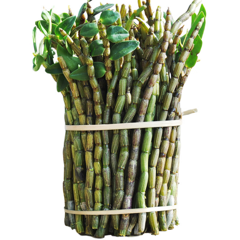 霍山铁皮石斛鲜条五年生紫皮石斛中药材新鲜石斛条石斛枫斗石斛花 铁皮石斛新鲜短条500克