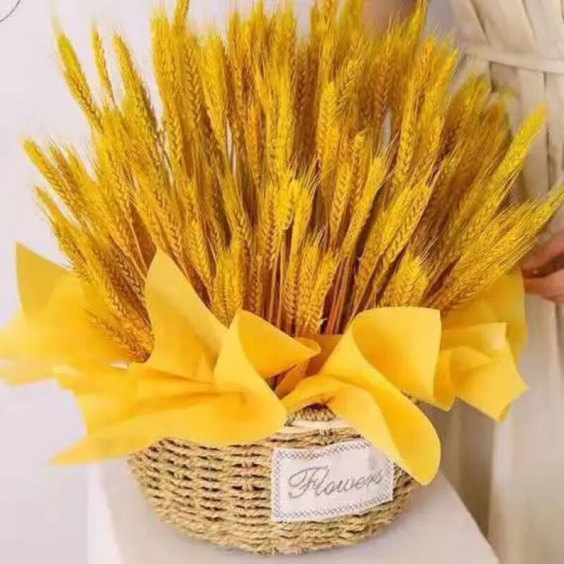 珊野批发天然金色麦穗开业大麦干花田园客厅装饰干花插花摆件拍摄道具