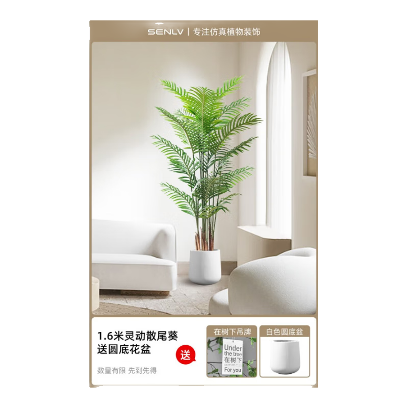 δŷ������ֲ��ֲ��߶����ݴ�����������װ�ΰڼ�ɢβ�����滨���� 160cm �鶯��ɢβ��+Բ���� 125Ԫ