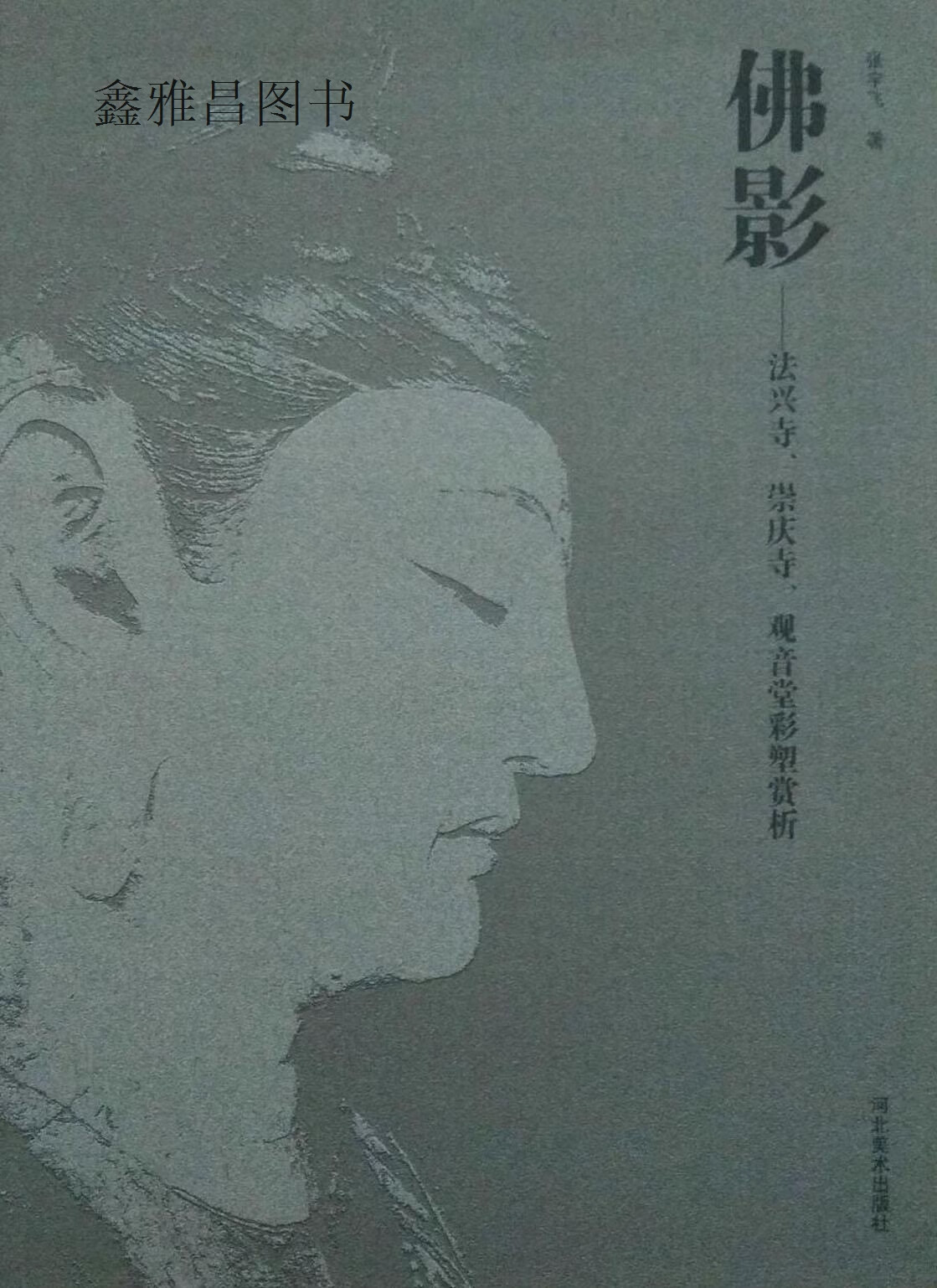 佛影 : 法兴寺崇庆寺观音堂彩塑赏析,张宇飞著,河北美术出版社