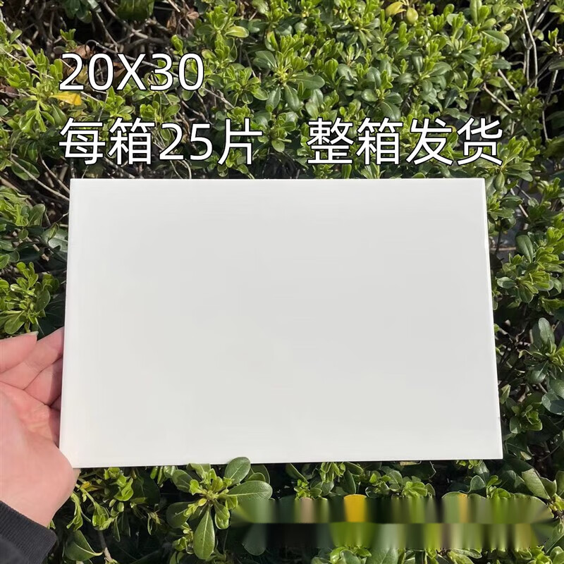 外墻瓷片墻面磚 純白色墻磚25x33白色墻磚瓷片30x45瓷磚廚房衛(wèi)生 20X30 整箱發(fā)貨/25片/箱