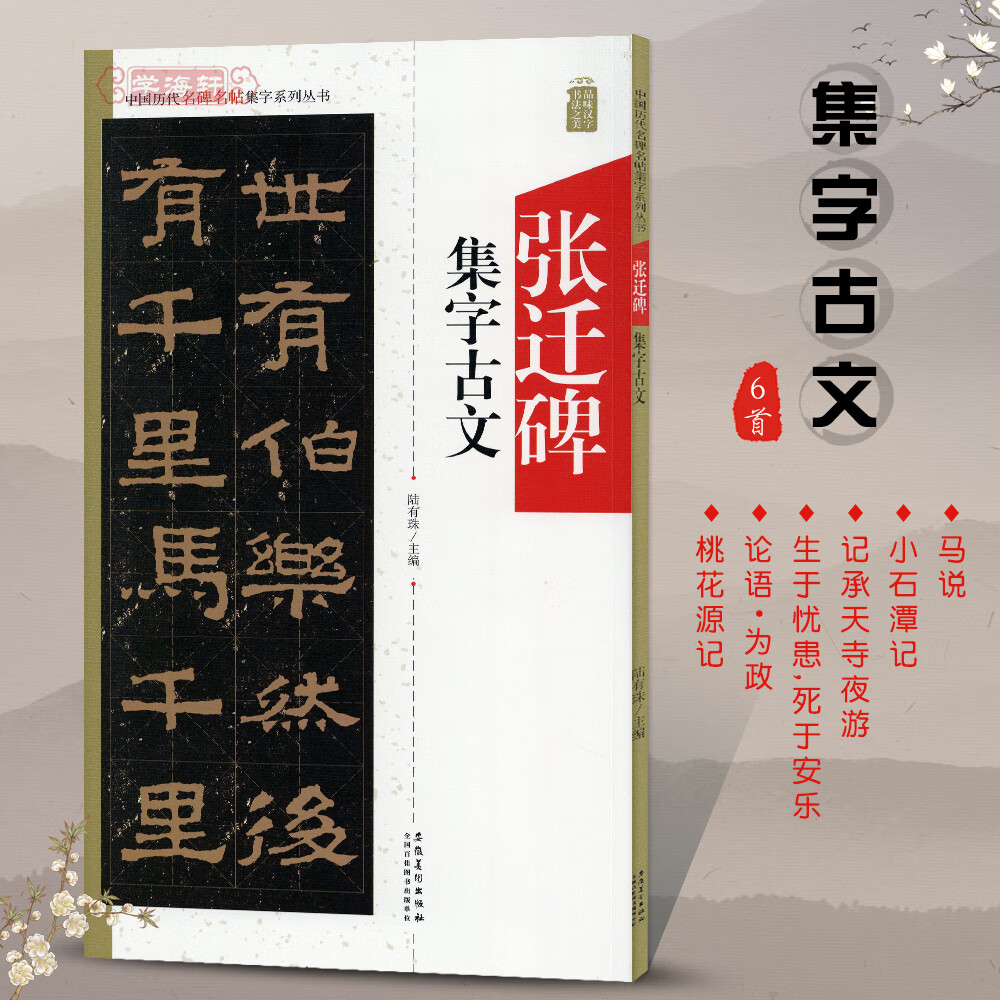 张迁碑集字古文中国历代名碑名帖集字系列陆有珠汉隶书毛笔字帖书法