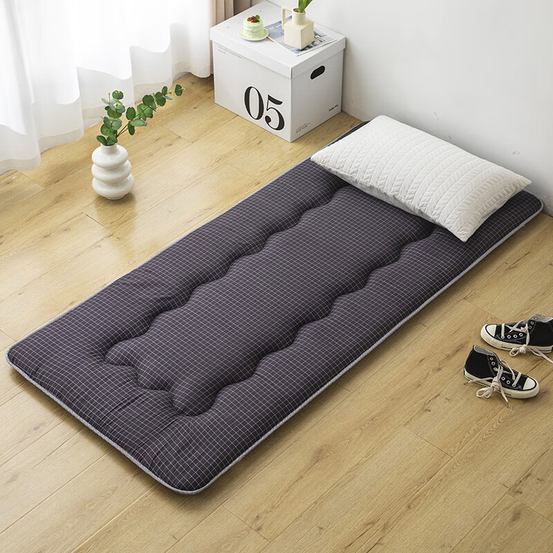 夏天地铺神器 地垫睡觉打地铺夏天可折叠防滑午睡神器垫子办公室l 黑