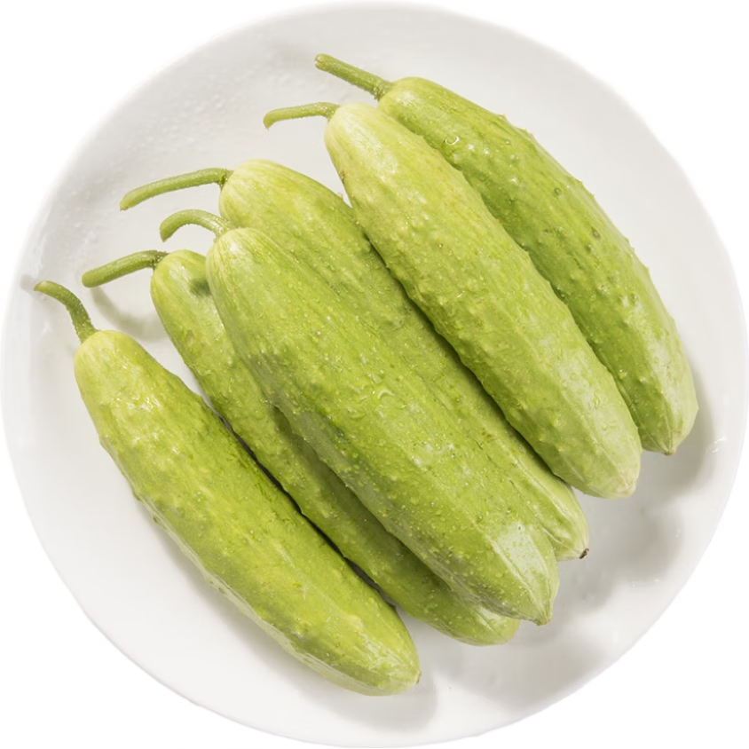 京地达山东奶油黄瓜白玉水果黄瓜净重3斤源头直发包邮